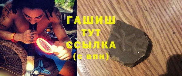 эйфоретик Няндома