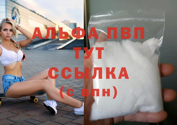 эйфоретик Няндома